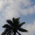 Prakiraan Cuaca Kabupaten Pangandaran Hari Ini, Kamis 16 April 2026