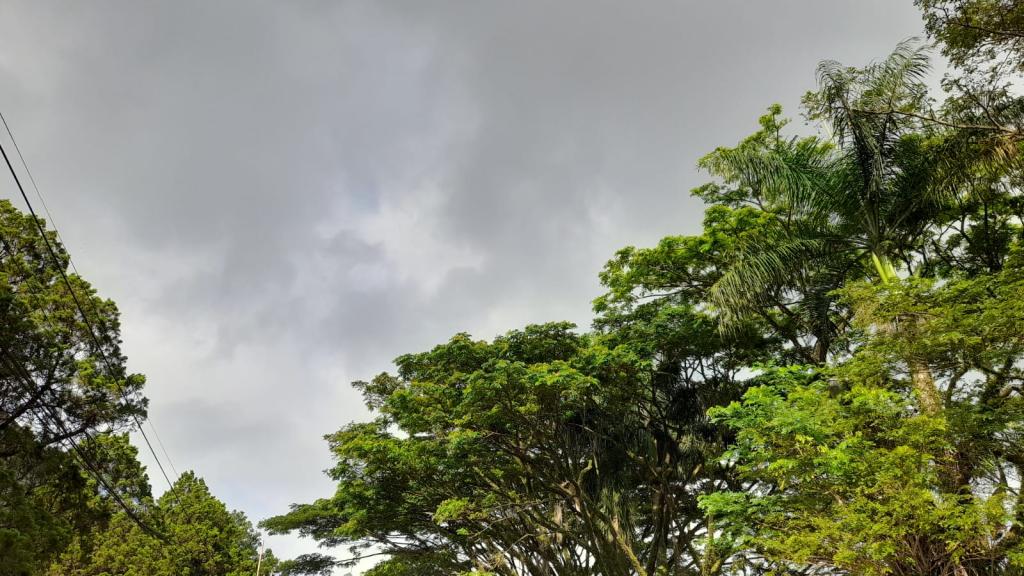 Prakiraan Cuaca Kabupaten Ciamis Hari Ini, Jumat 24 April 2026