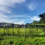 Prakiraan Cuaca Kota Banjar Hari Ini, Minggu 19 April 2026