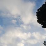 Prakiraan Cuaca Kabupaten Ciamis Hari Ini, Minggu 19 April 2026