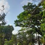 Prakiraan Cuaca Kabupaten Ciamis Hari Ini, Senin 20 April 2026