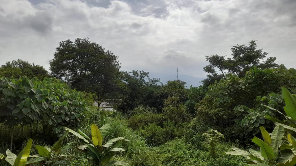 Prakiraan Cuaca Kabupaten Tasikmalaya Hari Ini, Senin 20 April 2026