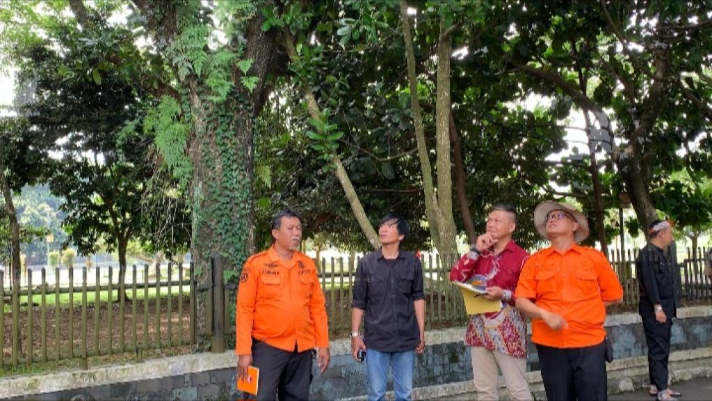 21 Pohon di Kompleks Dadaha Tasikmalaya Ditandai untuk Dipangkas dan Ditebang karena Rawan Tumbang