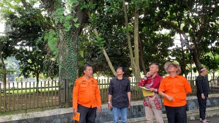 21 Pohon di Kompleks Dadaha Tasikmalaya Ditandai untuk Dipangkas dan Ditebang karena Rawan Tumbang