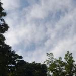 Prakiraan Cuaca Kabupaten Tasikmalaya Hari Ini, Kamis 23 April 2026