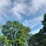 Prakiraan Cuaca Kabupaten Tasikmalaya Hari Ini, Jumat 24 April 2026