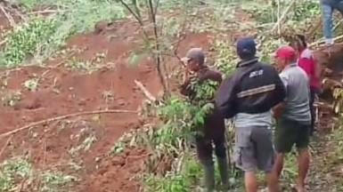 4 Petani Tertimbun Longsor di Salawu Tasikmalaya, 2 Masih dalam Pencarian