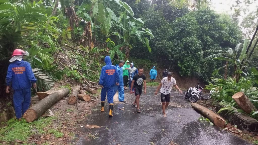 Akses Jalan Rancah-Dadiharja Ciamis Sempat Terputus Akibat Pohon Tumbang