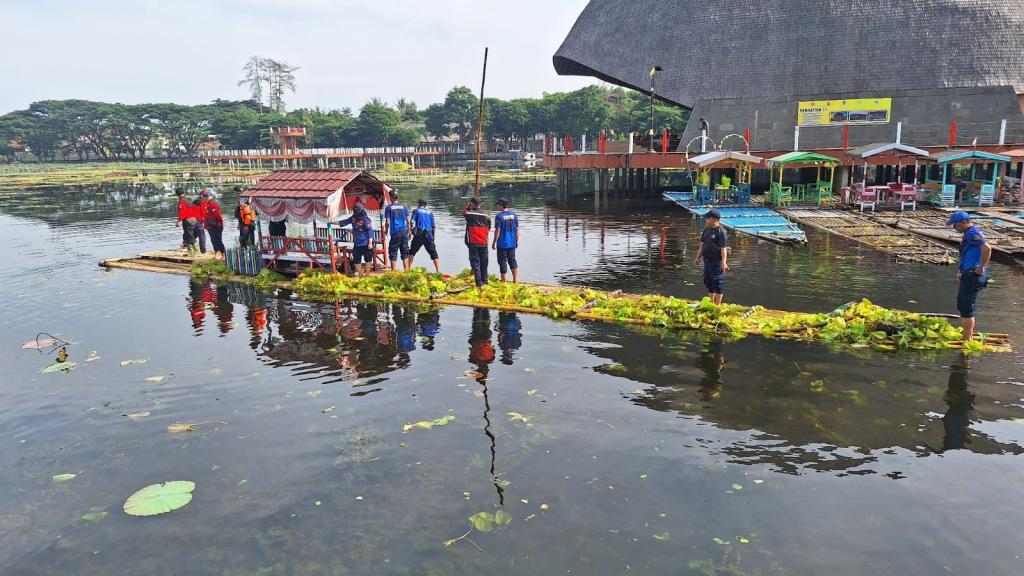 Aksi Bersih-Bersih Eceng Gondok di Situ Bagendit Garut