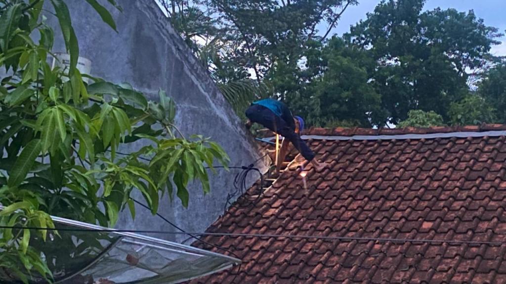 Anak Kucing Terkurung Dua Hari di Lorong Atap, Selamat Berkat Bantuan Damkar Ciamis