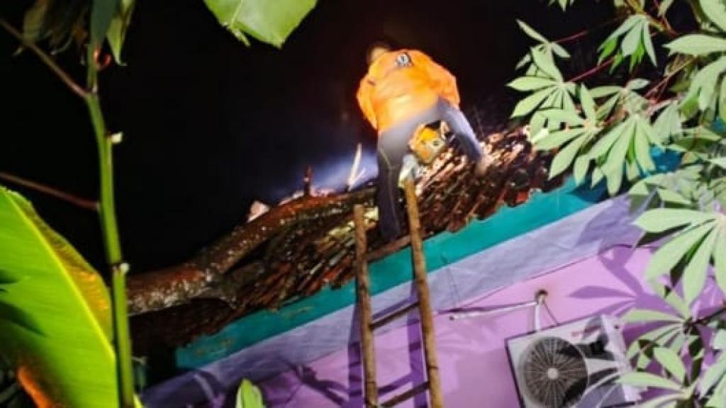 Angin Kencang Terjang Cijeungjing Ciamis, Atap Rumah Warga Rusak Tertimpa Pohon Tumbang
