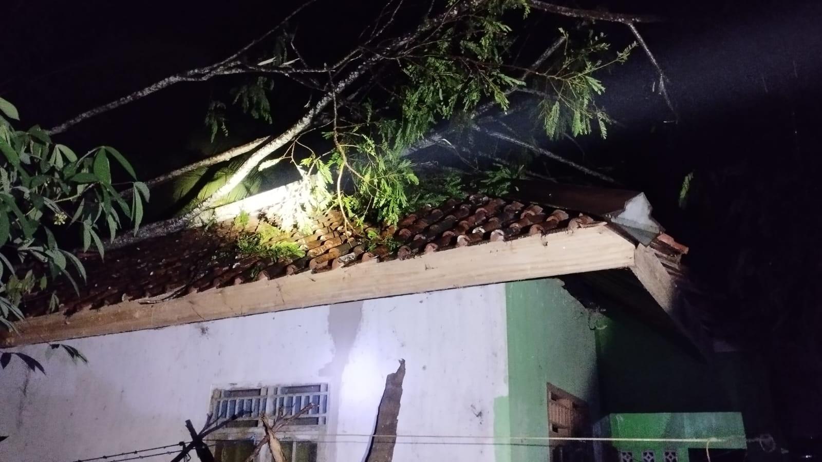 Atap Rumah Warga di Rancah Ciamis Tertimpa Pohon Tumbang