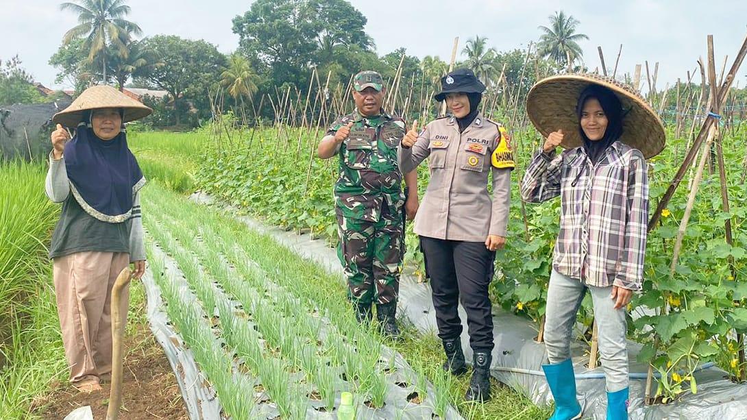 Bhabinkamtibmas Desa Mekarjadi Ciamis Dorong Ketahanan Pangan Lewat Tanaman Apotek Hidup
