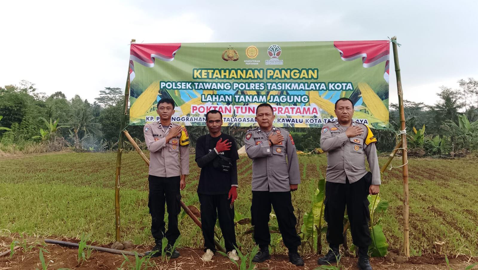 Bhabinkamtibmas Polsek Tawang Dukung Ketahanan Pangan Lewat Pendampingan Lahan Jagung