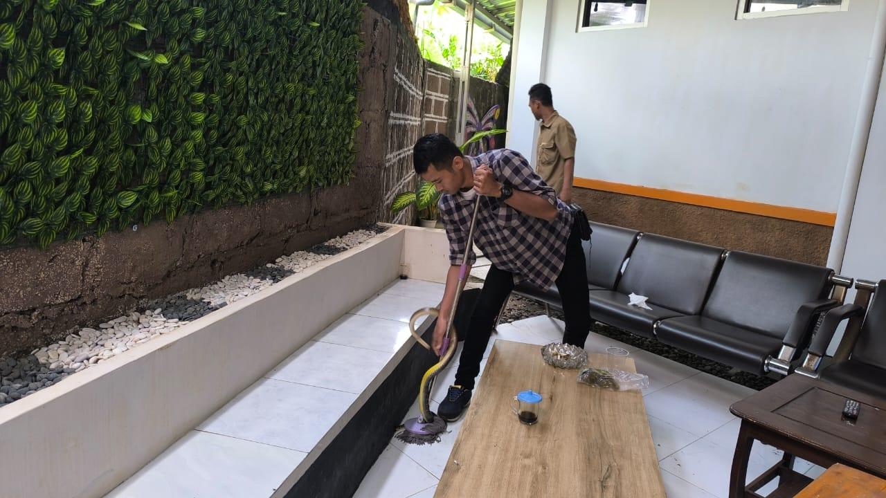 Ular Koros Sepanjang 1,2 Meter Bikin Panik Pegawai Diskominfo Kota Tasikmalaya