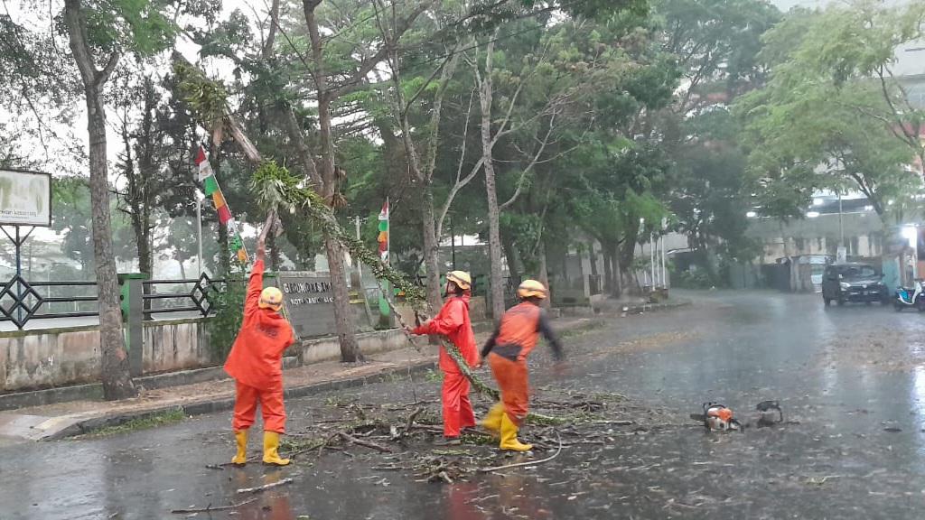 BPBD Kota Tasikmalaya Evakuasi Pohon Tumbang di Jalan Lingkar Dadaha