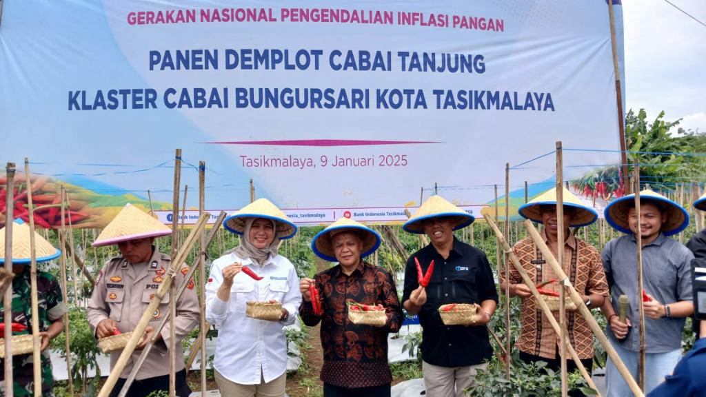Cara Pemkot Tasikmalaya dan BI Jaga Kestabilan Harga Cabai, Kolaborasi dengan Petani