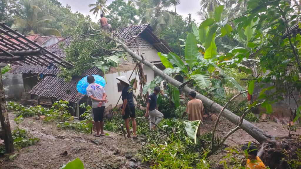 Cuaca Ekstrem di Ciamis Sebabkan Pohon Tumbang, 5 Rumah Rusak