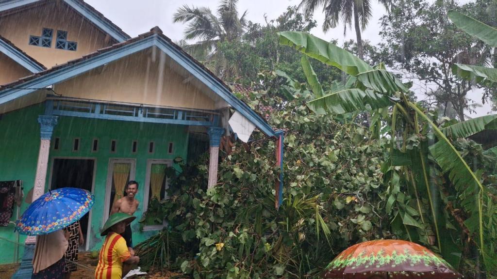 Cuaca Ekstrem di Ciamis Sebabkan Pohon Tumbang, Enam Rumah Warga Rusak