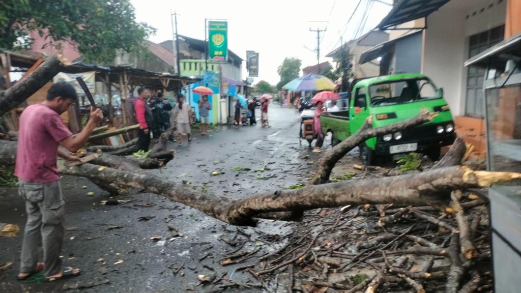 Cuaca Ekstrem di Tasikmalaya, Pohon Tua Tumbang Timpa Kendaraan
