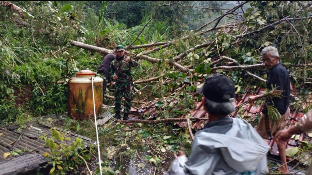 Cuaca Ekstrem Landa Ciamis, Dua Rumah Warga Tertimpa Pohon Tumbang