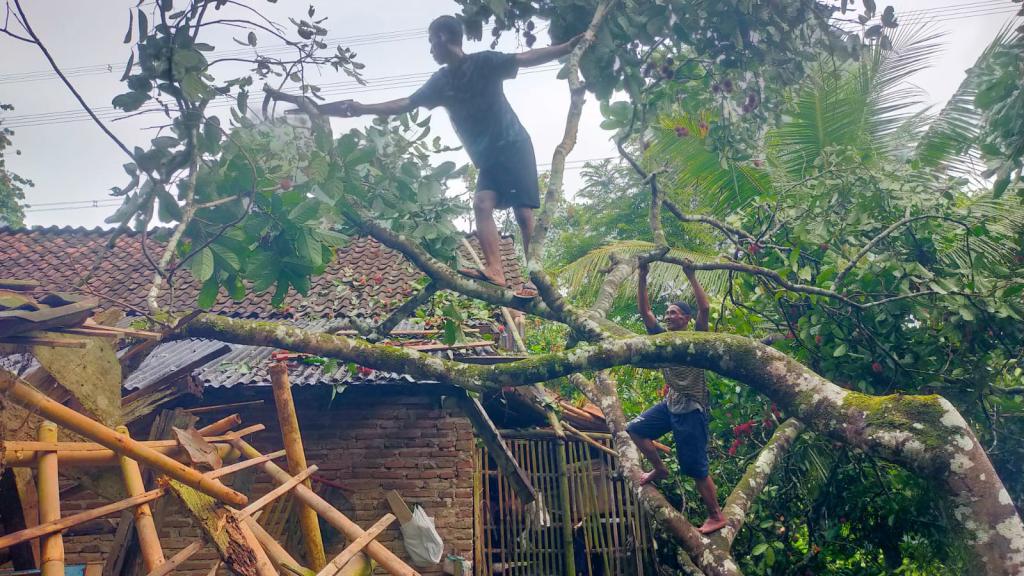 Cuaca Ekstrem, Pohon Tumbang Timpa Rumah Warga di Ciamis