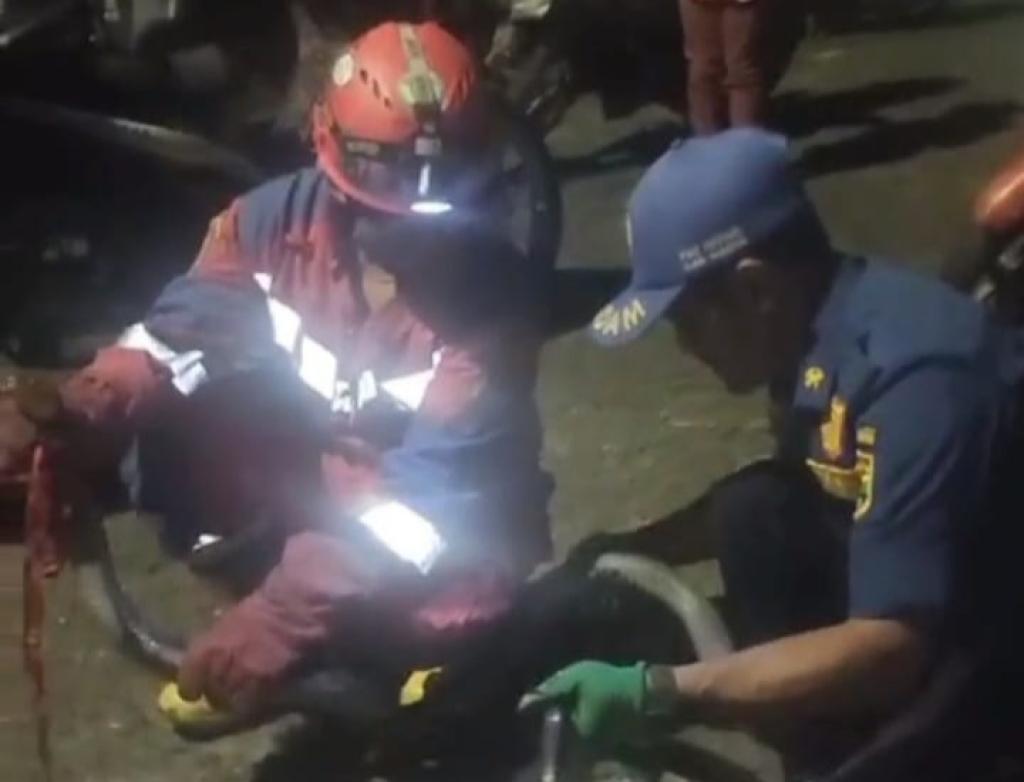 Damkar Ciamis Evakuasi Dua Ekor Ular yang Sedang Saling Memangsa di Gudang Warga