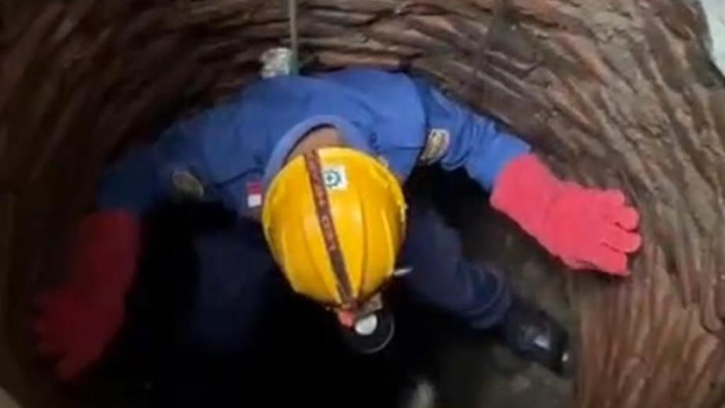 Damkar Ciamis Selamatkan Kucing yang Terjebak 4 Hari di Sumur