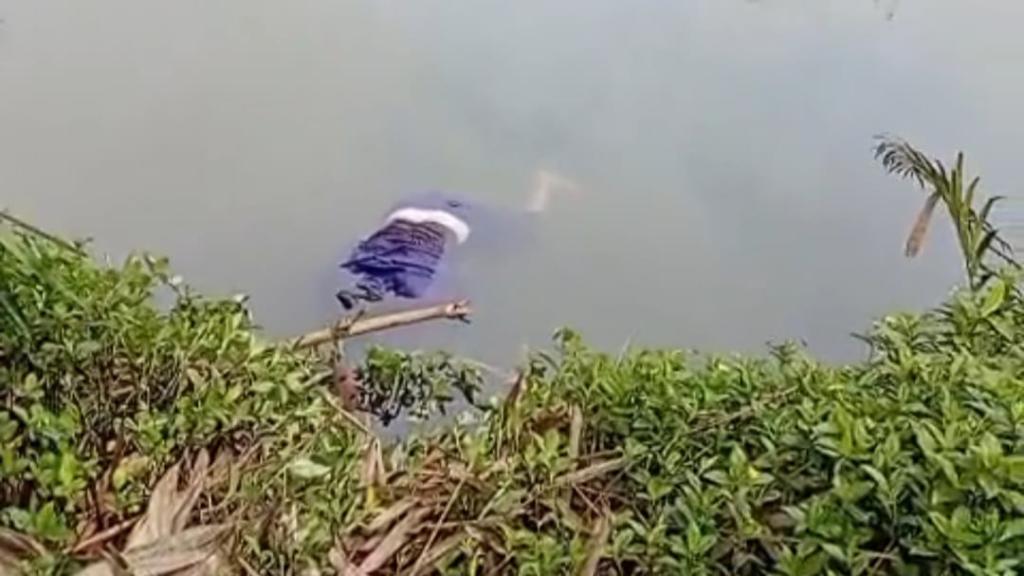 Diduga Terpeleset, Lansia Ditemukan Tewas Mengapung di Situ Cilangla Taraju Tasikmalaya