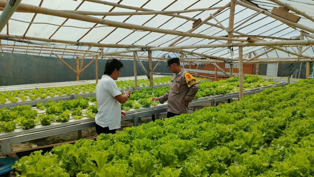 Dorong Ketahanan Pangan, Bhabinkamtibmas Polsek Ciamis Ajak Warga Manfaatkan Pekarangan