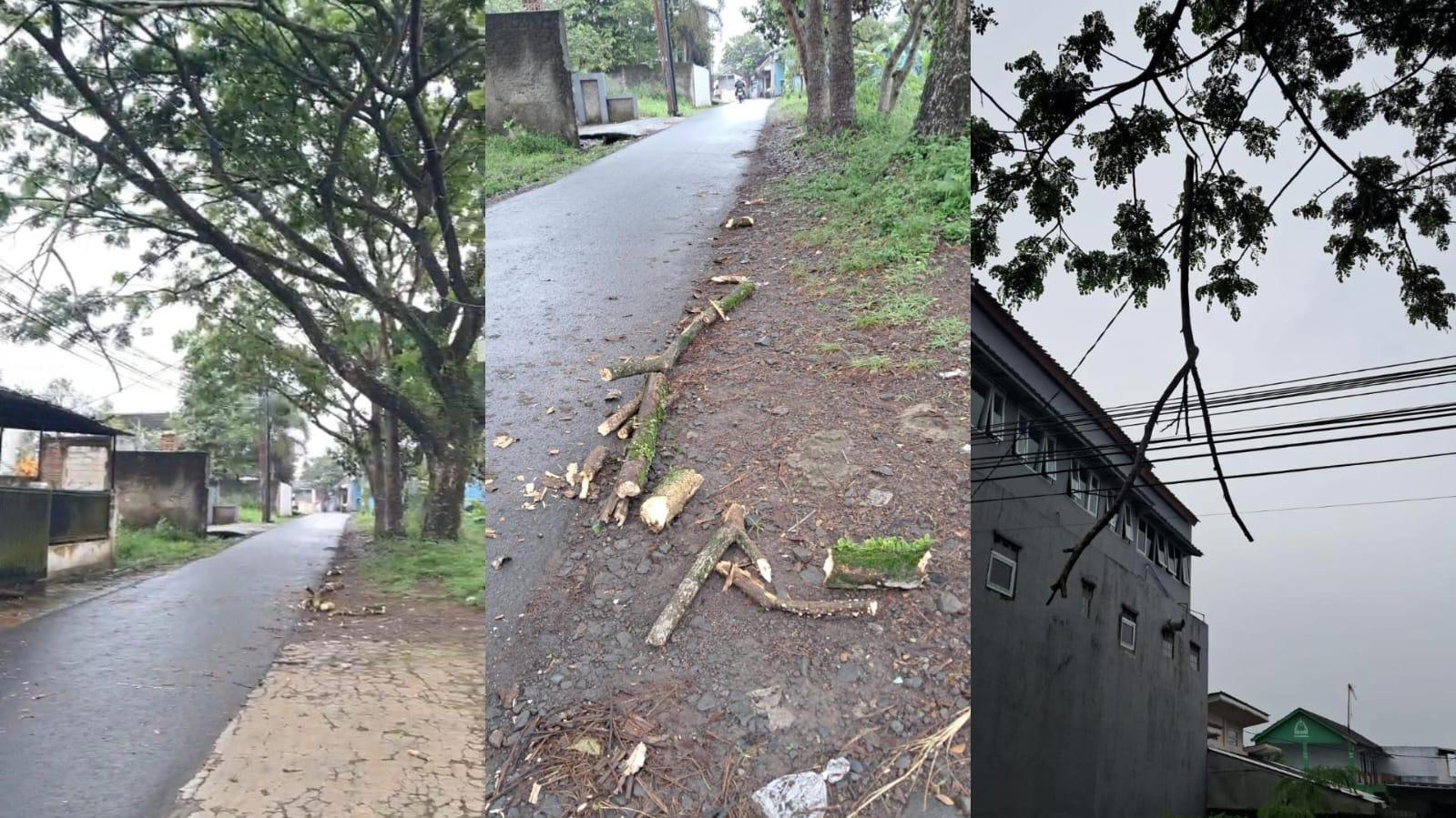 Dua Pengendara Tertimpa Ranting Pohon di Salamnunggal Indihiang, Warga Minta Pemkot Tasikmalaya Segera Bertindak