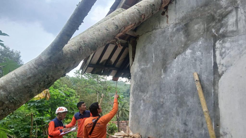 Dua Rumah di Ciamis Rusak Dihantam Pohon Tumbang Saat Cuaca Ekstrem