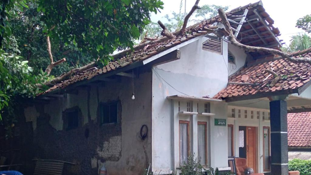 Dua Rumah Warga Ciamis Rusak Diterjang Pohon Tumbang