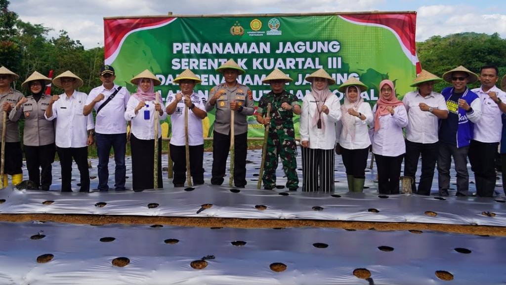 Dukung Swasembada Pangan, Polres Tasikmalaya Kota Tanam Jagung Serentak, Targetkan 14 Hektar Lahan Produktif