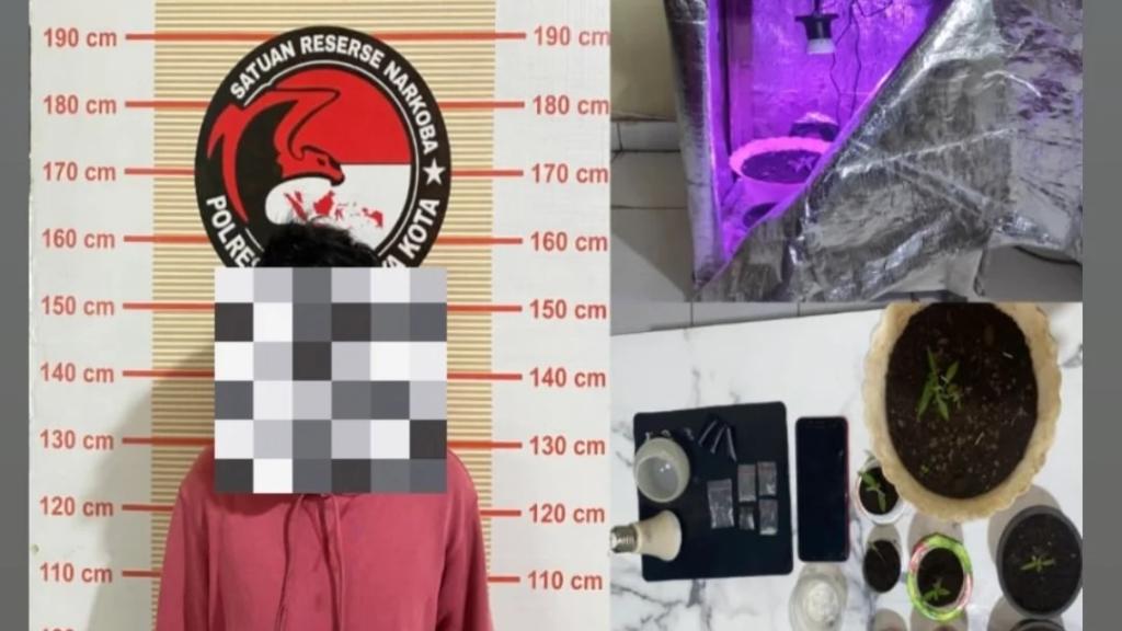 Gunakan Sabu dan Tanam Ganja, Pria di Sukaresik Ditangkap Satnarkoba Polres Tasikmalaya Kota