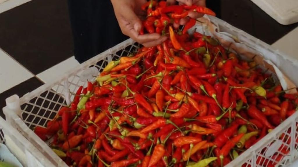 Harga Cabai Meroket di Awal Tahun 2025, Rawit Merah Tembus Rp100 ribu per Kg