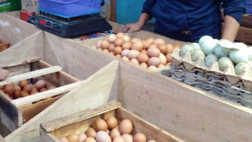 Harga Telur Ayam Naik Jelang Idul Adha, Peternak Ayam Petelur Raup Untung