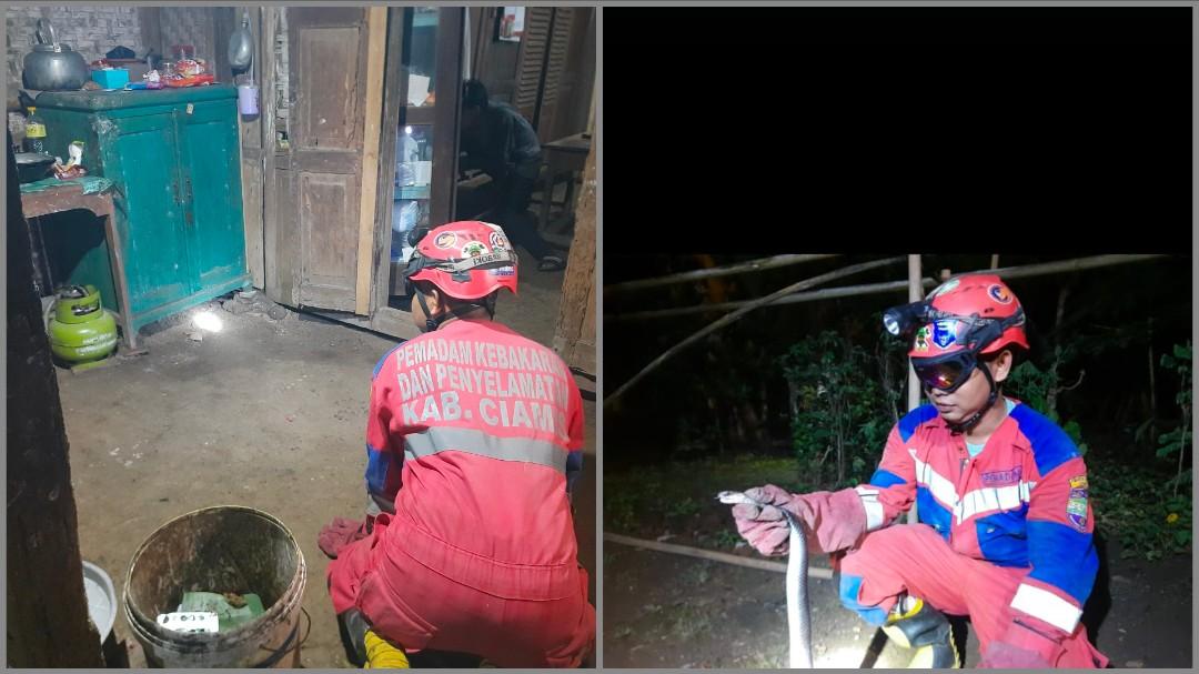 Hendak Ambil Barang Jatuh, Warga Ciamis Temukan Ular Kobra di Bawah Lemari