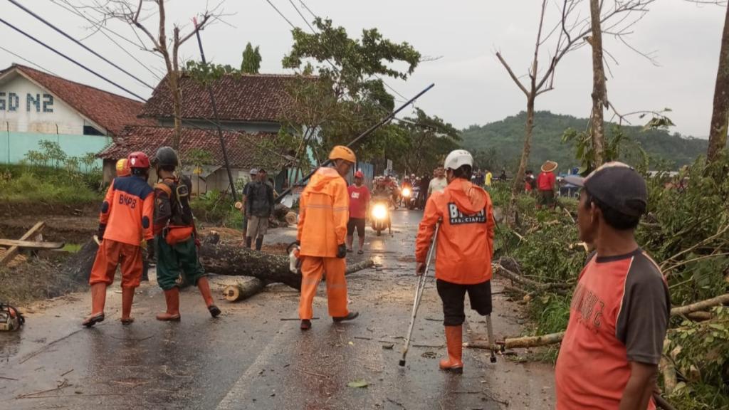 Hujan Deras dan Angin Puting Beliung Landa Dua Desa di Ciamis, Belasan Pohon Tumbang Timpa Rumah dan Jalan
