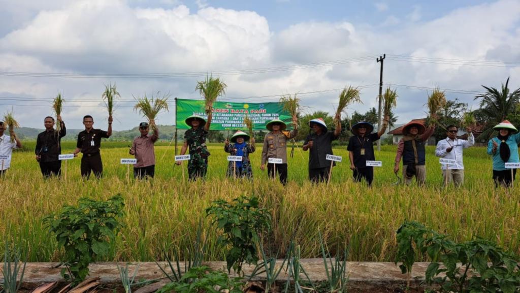 Petani di Kota Banjar Tolak Bayar Pajak Gegara Sawah Tak Terairi