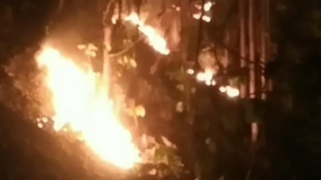 Kebakaran Hutan Jati Perhutani di Gunung Geger Bentang Ciamis, Luluhlantakkan 1 Hektar