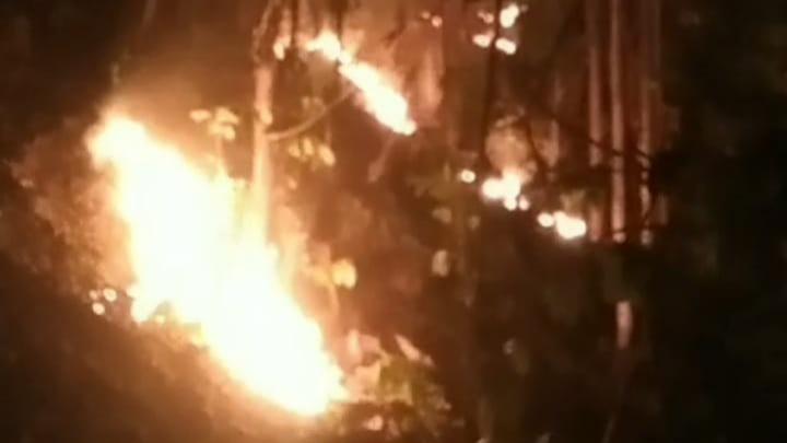 Kebakaran Hutan Jati Perhutani di Gunung Geger Bentang Ciamis, Luluhlantakkan 1 Hektar