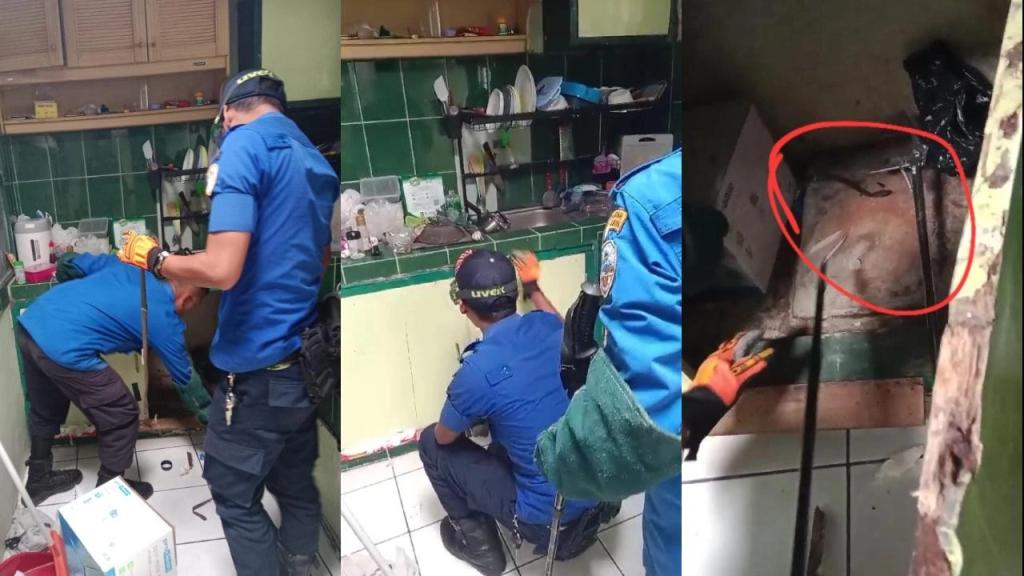 Damkar Kota Tasikmalaya Evakuasi Ular Koros di Dapur Rumah Warga Kawalu