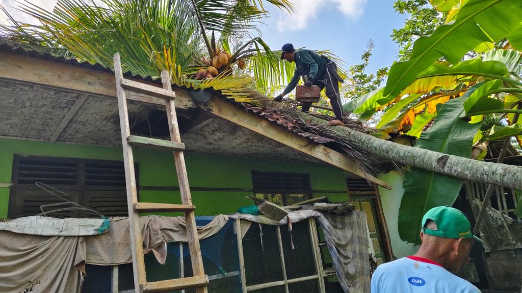 Pohon Kelapa Tumbang Timpa Rumah Warga di Ciamis, Penghuni Sekeluarga Selamat