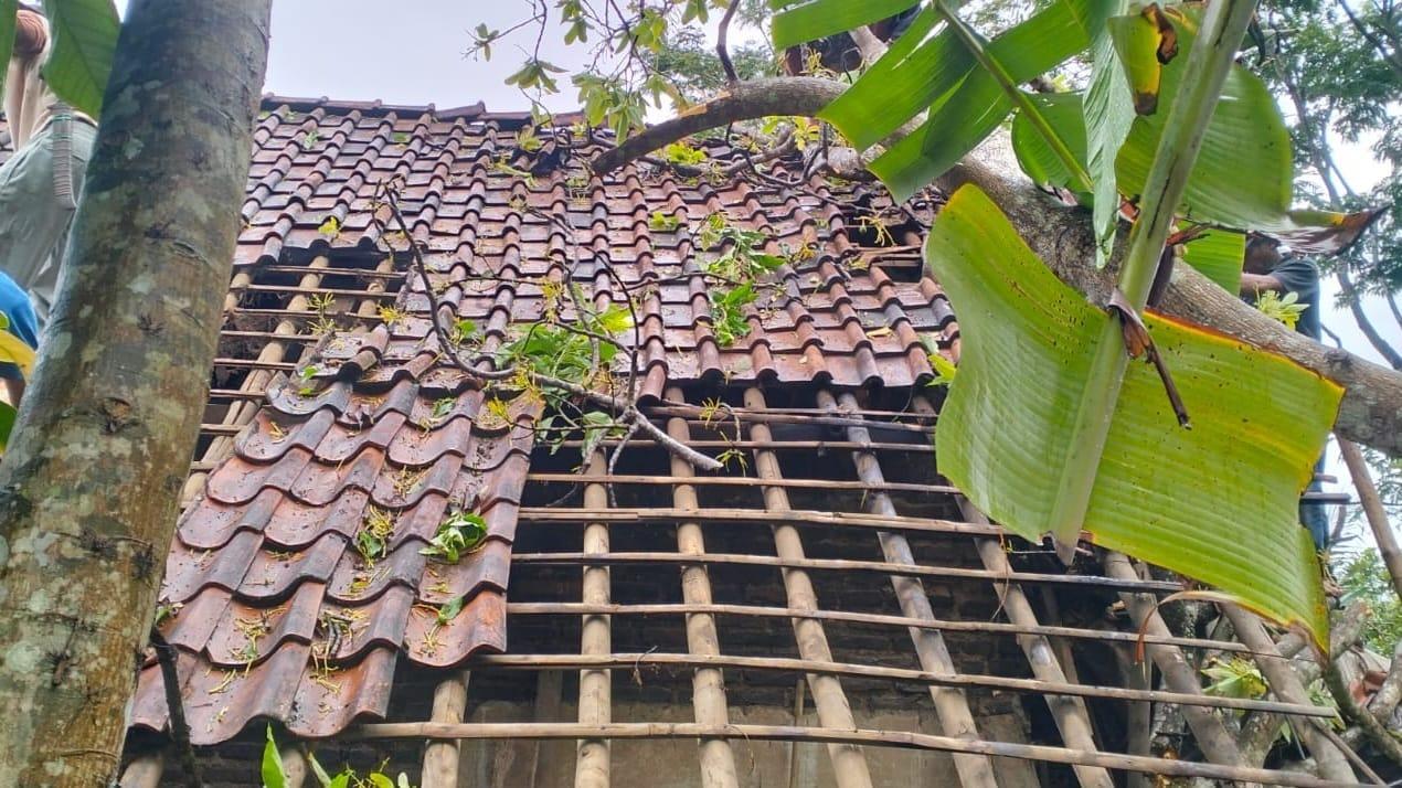 Cuaca Ekstrem Landa Ciamis: Longsor, Pohon Tumbang, dan Rumah Ambruk di 9 Kecamatan