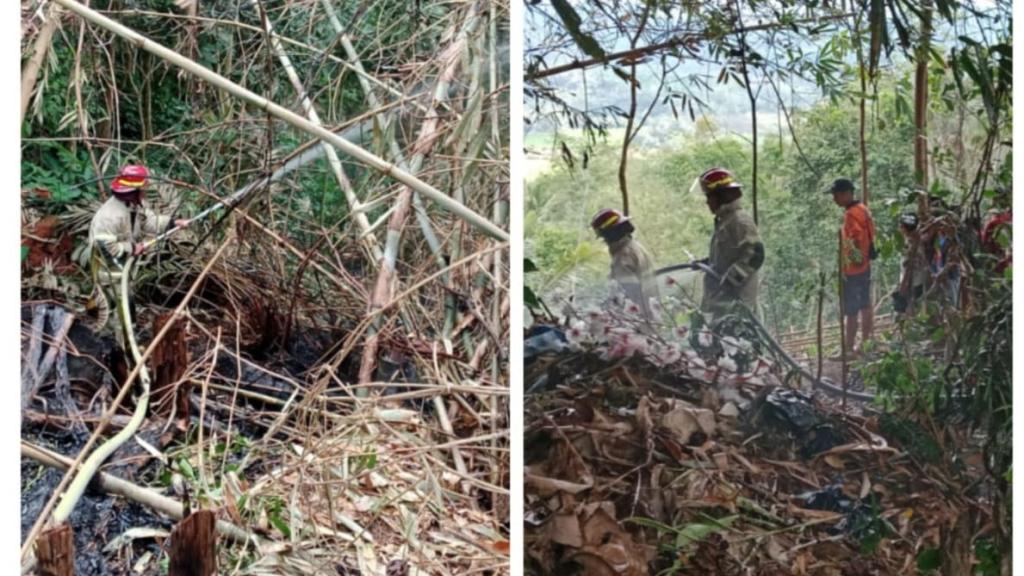 Kebakaran Lahan Kembali Terjadi di Ciamis, Kebun Salak dan Bambu di Cidolog Hangus Terbakar