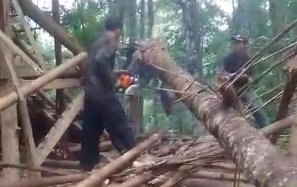 Pohon Kelapa Tumbang Timpa Rumah di Salawu Tasikmalaya, Pemilik Alami Luka-Luka
