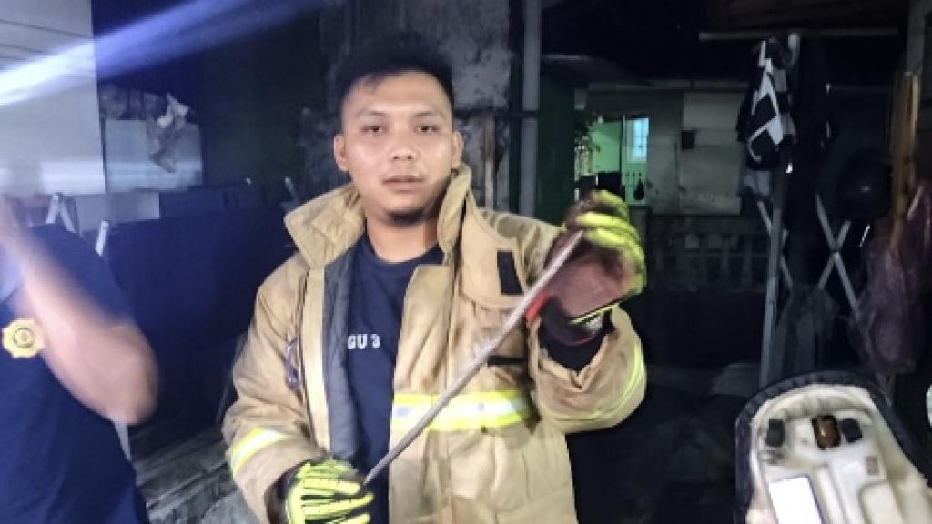 Ular Koros Bersembunyi di Bodi Motor Warga, Tim Damkar Kota Tasikmalaya Evakuasi dengan Cepat