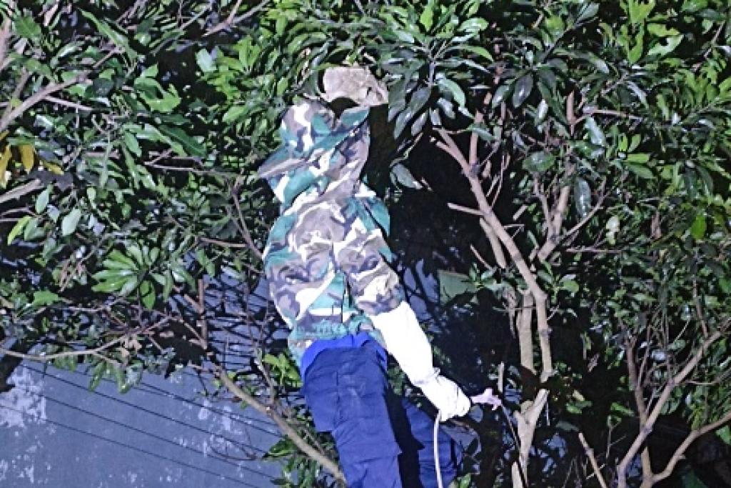 Petugas Damkar Kota Tasikmalaya Terpaksa Buat Pakaian Evakuasi Tawon Sendiri Karena Minimnya Peralatan Khusus