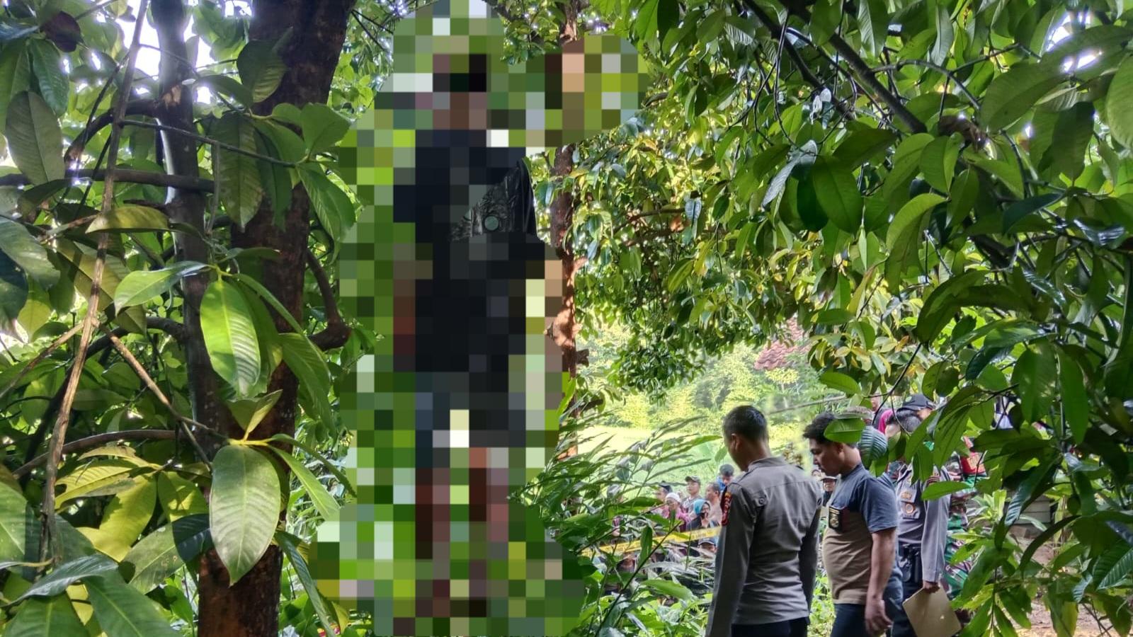 Geger! Pria di Bantarkalong Tasikmalaya Ditemukan Tewas Tergantung di Pohon Manggis